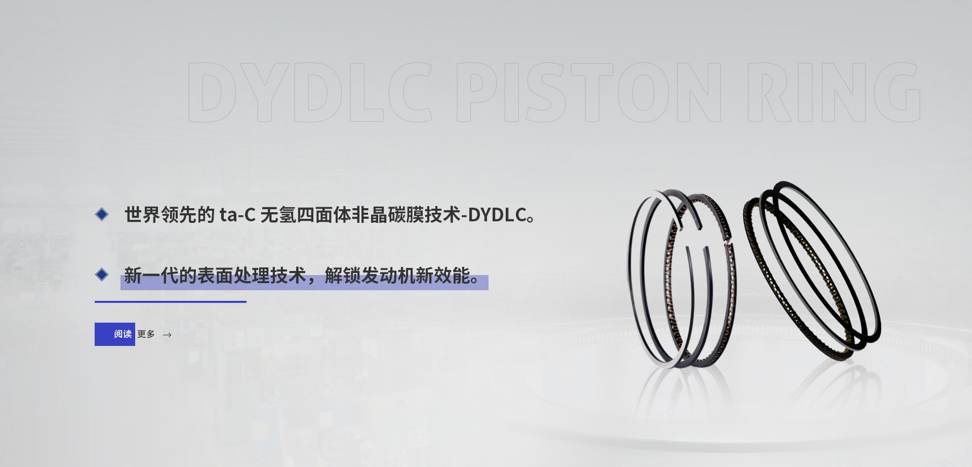 DYDLC 活塞环