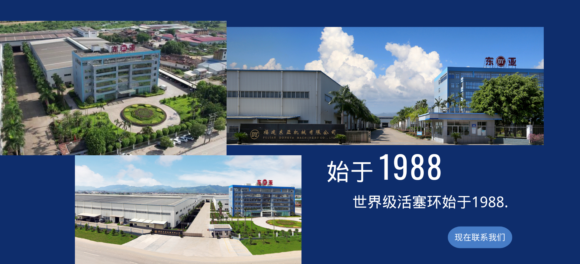 优质活塞环